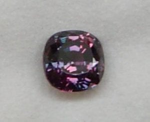 DSC05381zoom.jpg