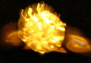DSCN08811.jpg