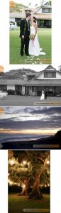 wedding collage last.jpg