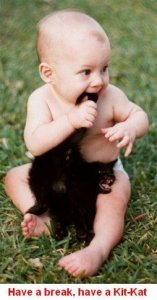 SillyAnimals7.jpg