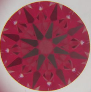 7265270.jpg