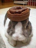 doughnutsmall.jpg