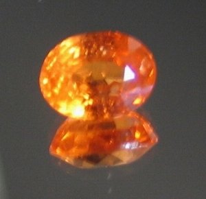 IMG_2749.JPG