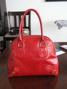 New Red bag for me.JPG