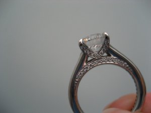 Engagement 217 web.jpg