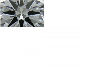 9406909.JPG