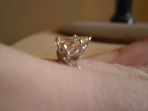 lynnring2843745.jpg
