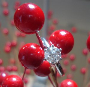 red6983656.jpg