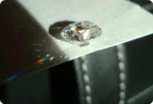 gGGDfSC00737.JPG