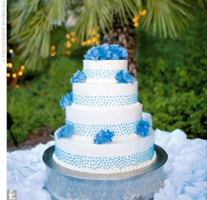 turqdottycake.jpg