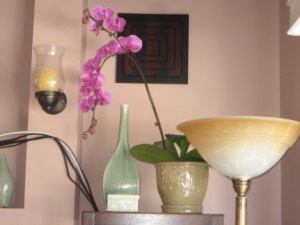 pictures of my orchids 011.jpg
