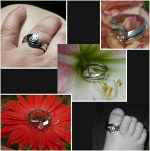 ringcollage-mez.jpg ringcollage-mez.jpg