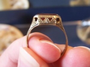 TDP ring profile.JPG