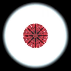 IS_AGS9493407.jpg