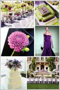 purple_green_2.jpg