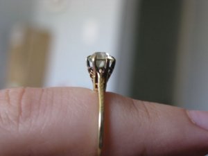IMG_2575 sized.jpg