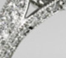 ringpic228.JPG