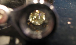 IMG_2616 sized.jpg