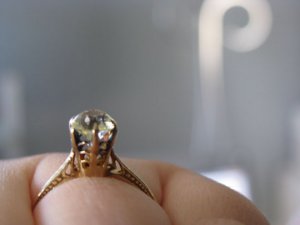 IMG_2585 sized.jpg