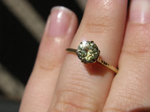 IMG_2595 sized.jpg