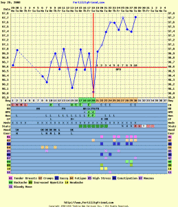 untitled102808.gif