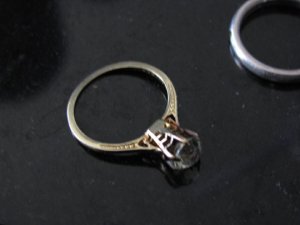 IMG_2589 sized.jpg