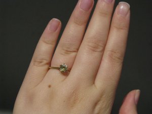 IMG_2610 sized.jpg