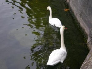 DSCN3050.JPG