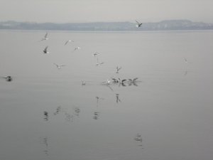 DSCN3044.JPG