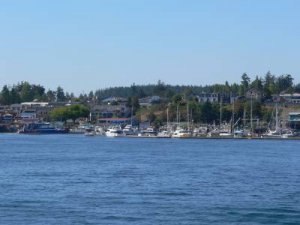 Friday Harbor low res.jpg