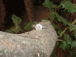 tree3.gif