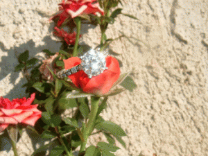 rosecut.gif