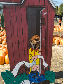 riley_outhouse.jpg