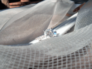 poolnet.gif