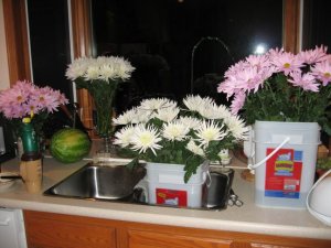 flowers 001 small.jpg