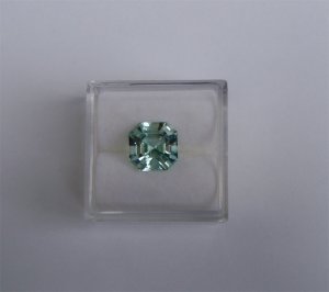 mmaqasscher1.jpg