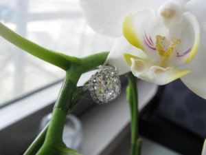 flower30736.jpg