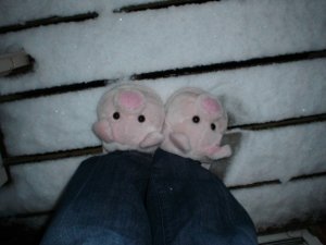 gwenspiggiesinthesnow.jpg