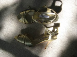 IMG_0090small.jpg