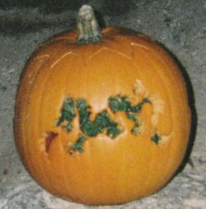 IMG_1249 sized.jpg