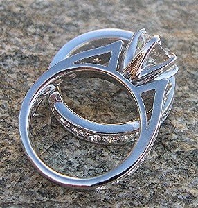 prongs I want.jpg