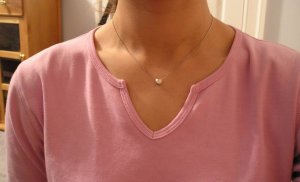 Resize-crop-P1010066.jpg