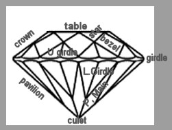 Round side w terms.jpg