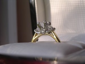 Good_ring_pic_11.jpg
