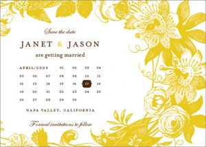 newbiew_stdhorizcalendar.jpg