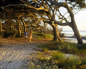 jekyll-island.jpg