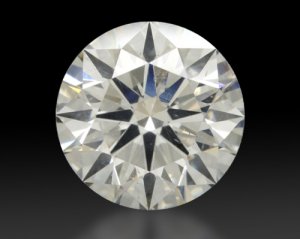 40x Magnification.jpg