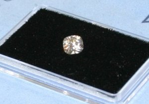 Veronicas172IVS2_4.JPG