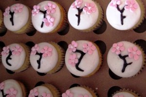 cherry blossom cupcakes.jpg