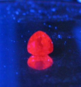 REDfluor3497.jpg